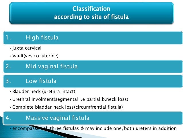vesco vaginal fistula Alexis sylvester tgp